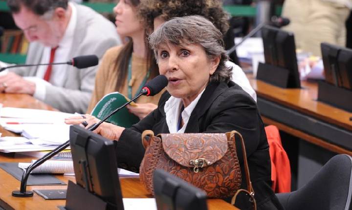 Comissão aprova criação de serviço nacional de acolhimento para mulheres vítimas de violência