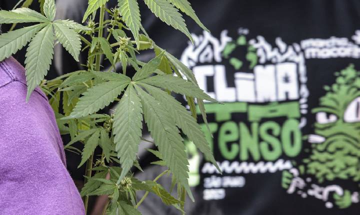 Flagrante por drogas gera mais prisão preventiva do que outros crimes