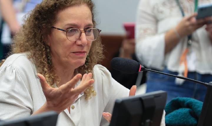 Parlamentares governistas vão aos EUA apresentar contraponto à direita