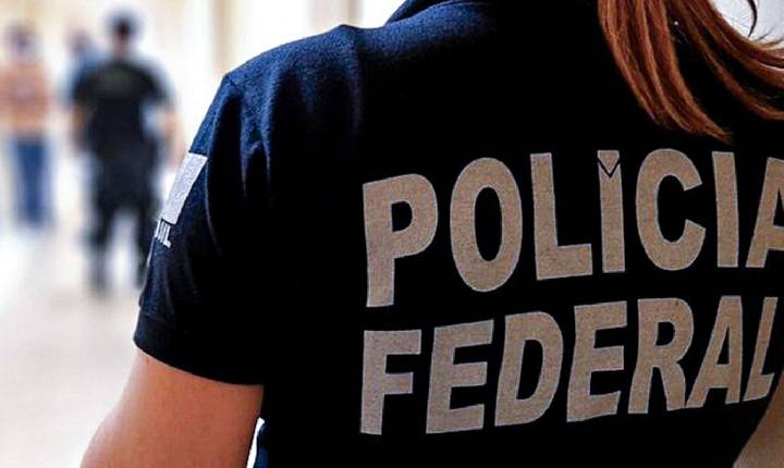 PF faz operação contra fraudes no registro de armas de colecionadores
