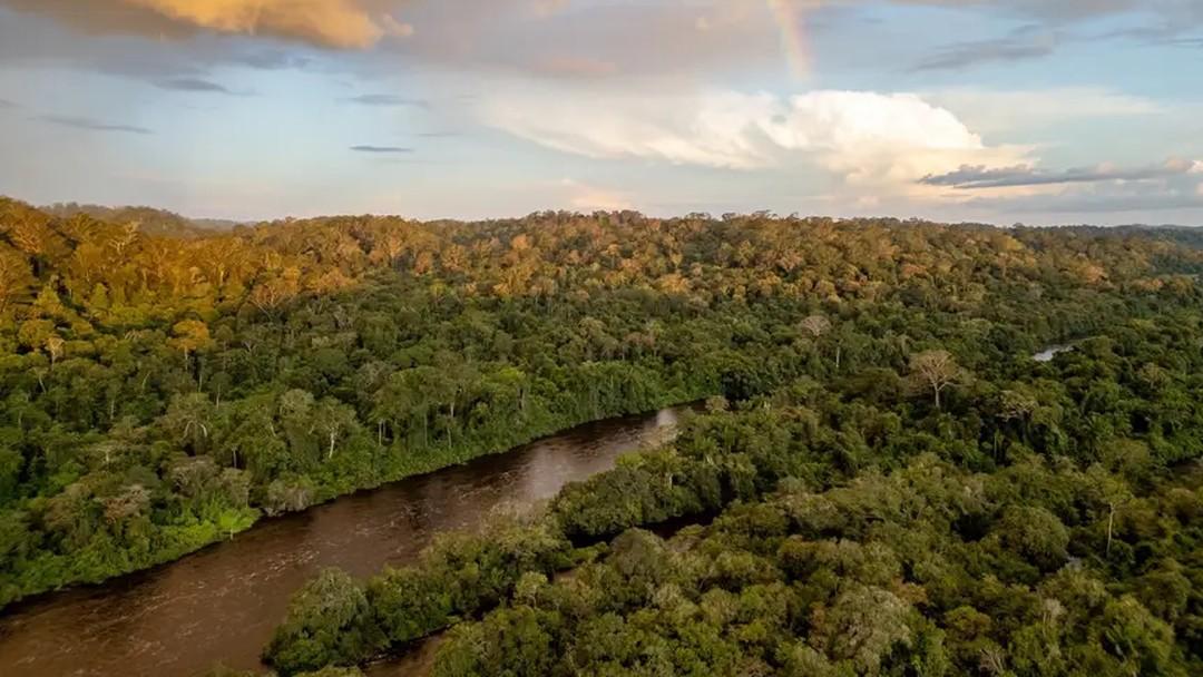 Conselho da Floresta Estadual do Trombetas é Renovado com Maior Participação da Sociedade Civil