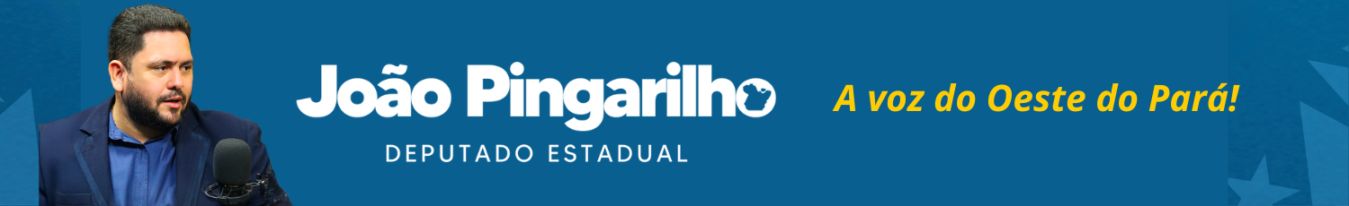 Deputado Estadual Joao Pingarilho