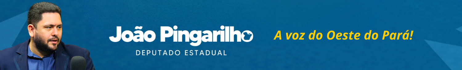 Deputado Estadual João Pingarilho
