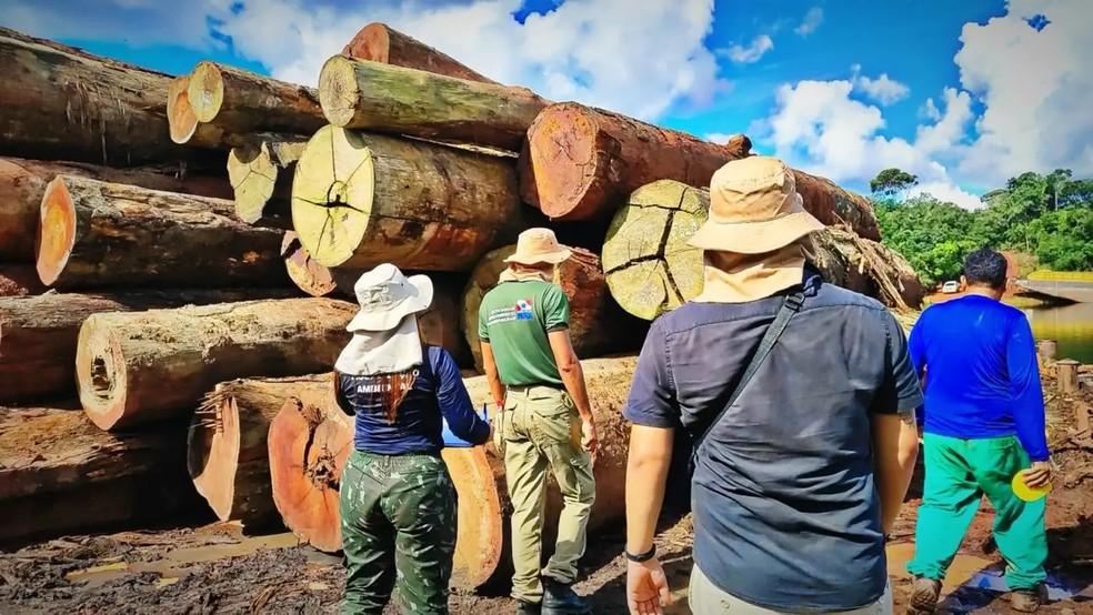Fiscalização ambiental em Juruti apreende mais de 4 mil m³ de madeira e embarga projeto de manejo comunitário