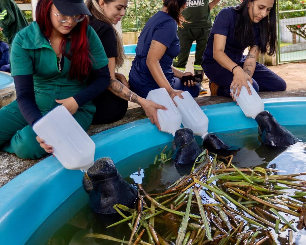 Universitários mergulham na biodiversidade amazônica em experiência prática em Santarém