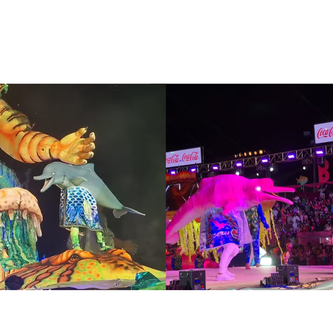 Botos Tucuxi e Cor de Rosa encantam Alter do Chão com emoção, tradição e homenagens no Sairé 2025
