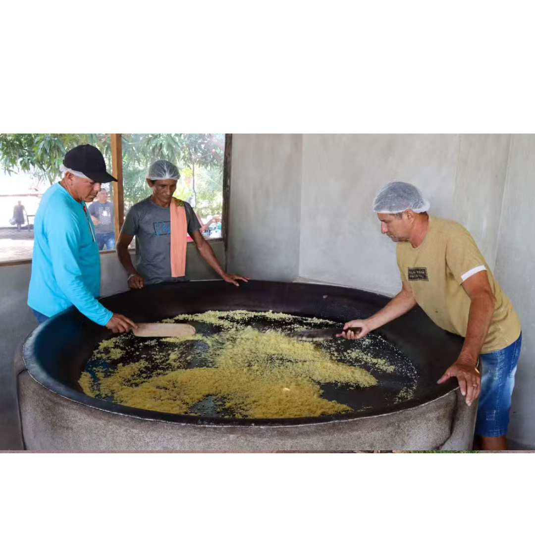 Em Óbidos, agricultores aprendem técnicas de beneficiamento da farinha e derivados da mandioca