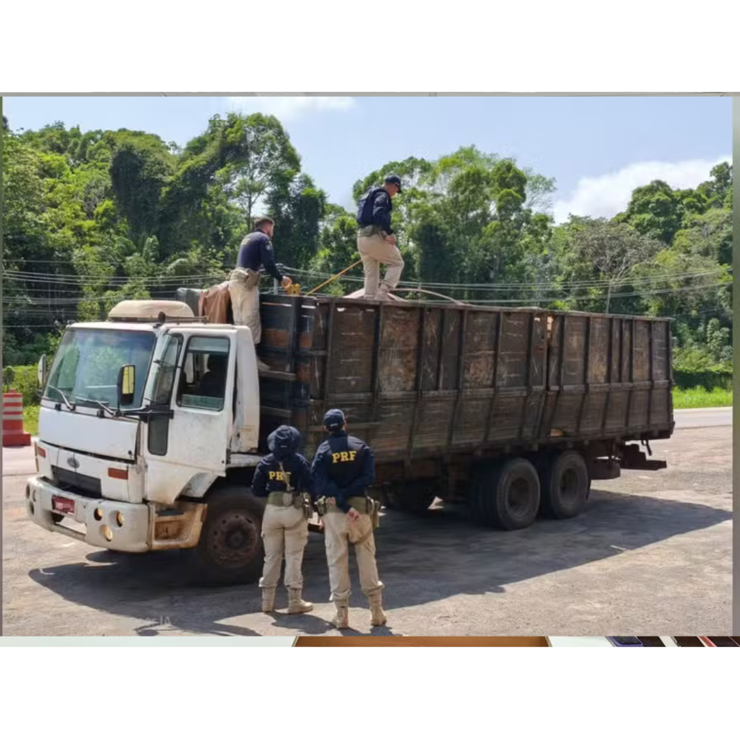 PRF apreende carregamento irregular de madeira em Santarém