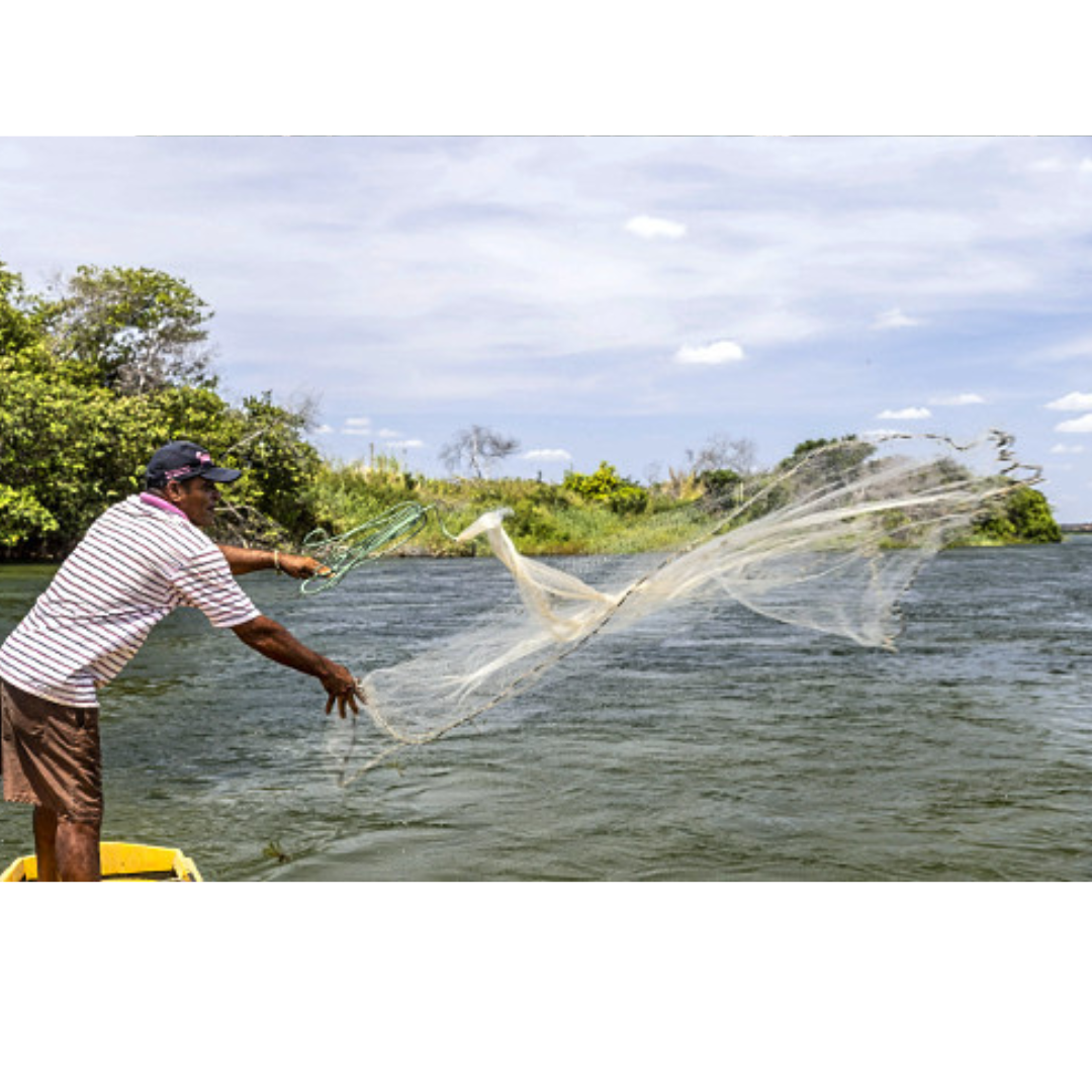 Seguro-Defeso passará por mudanças e exigirá mais documentos a partir de outubro
