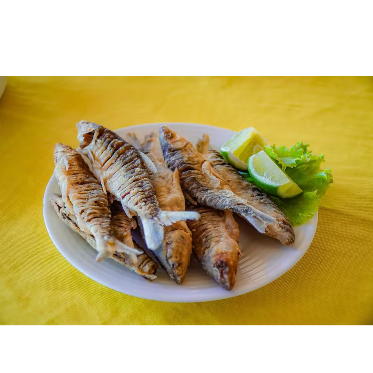 Em Ponta de Pedras Festival do Charutinho promete recorde de público e impulsionamento da economia