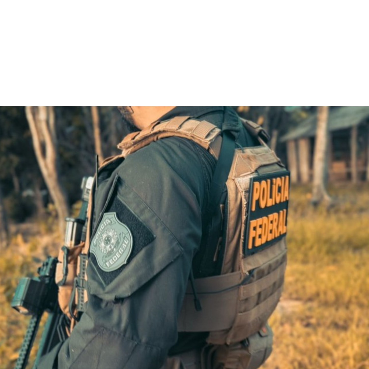 Operação Fazenda Cafundó: Mojuí dos Campos no alvo da PF em grande investigação ambiental